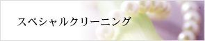 ワンランク上を求める貴方にスペシャルクリーニング