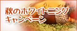 ���Υۥ磻�ȥ˥󥰥����ڡ���