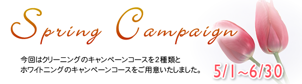 3月のホワイトニングキャンペーン
白く美しい歯で新生活を始めましょう!
3/5~3/31